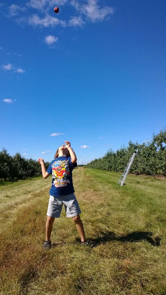 10459049_10152389026763924_1642159440691507952_o