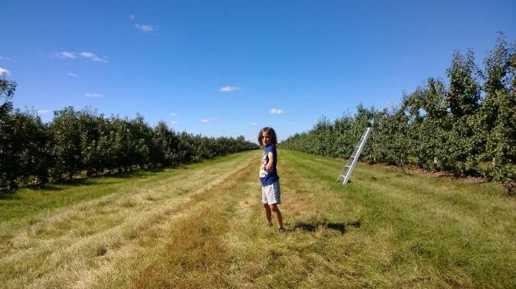 10547802_10152389026593924_7824306382637988684_o